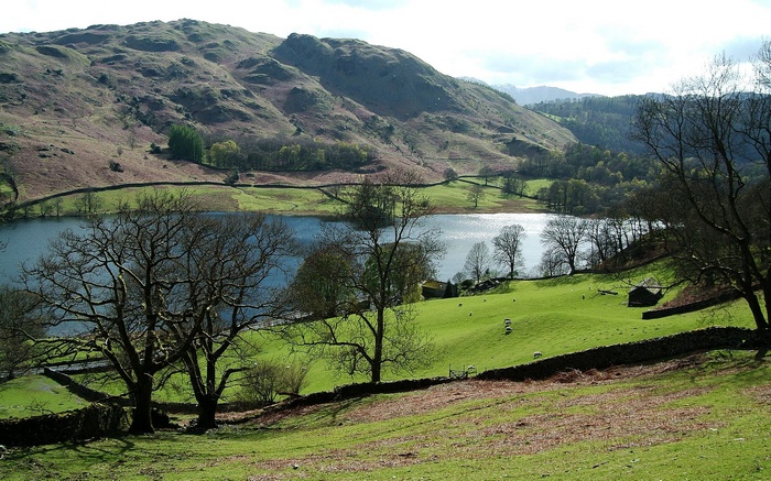 Lake and hills with sheep grazing