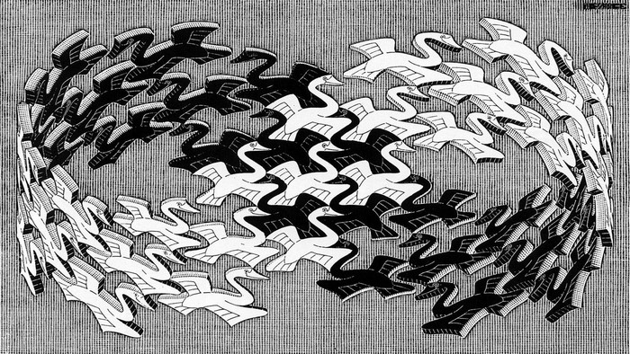Birds Tessellation by M.C. Escher