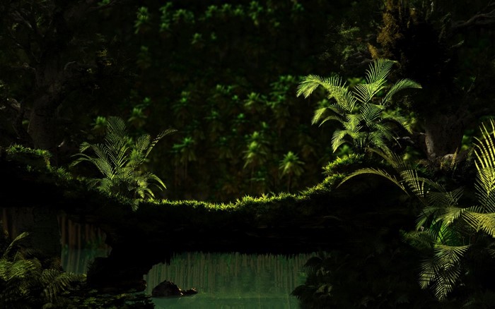 Sunlight filtering through a dense rainforest with a river