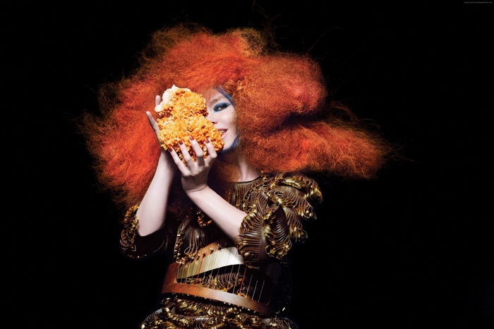Bjork with orange hair and costume
