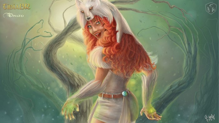 Druid from TibiaBR with a wolf headdress