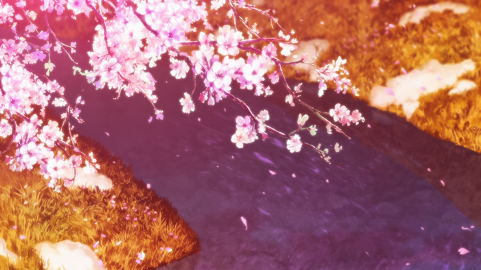 Cherry blossoms falling into a stream