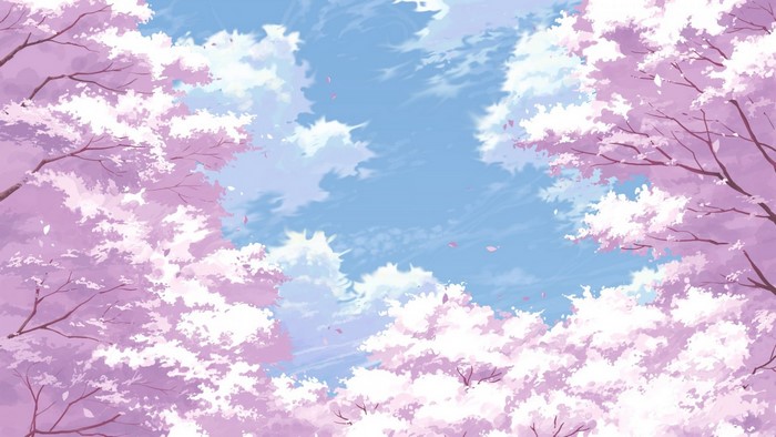 Cherry blossoms against a blue sky with clouds