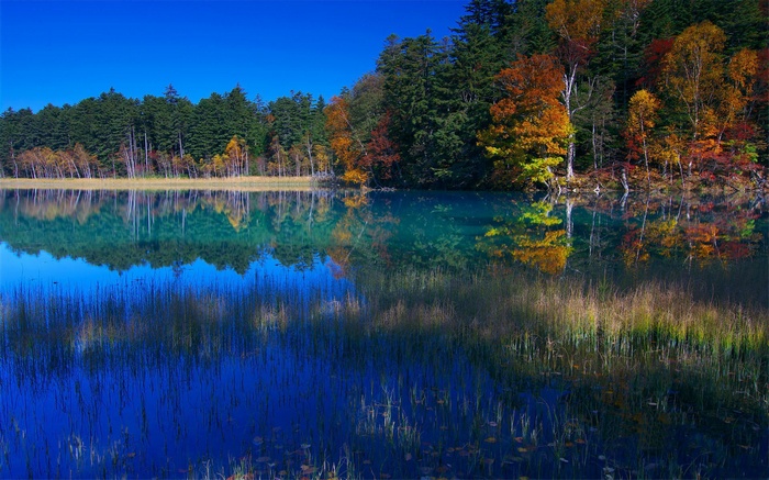 Autumn forest reflected in a clear blue lake