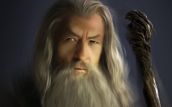 Gandalf the Grey from The Lord of the Rings