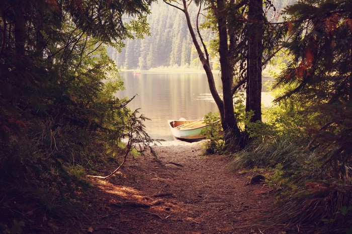 Boat on a tranquil lake surrounded by trees