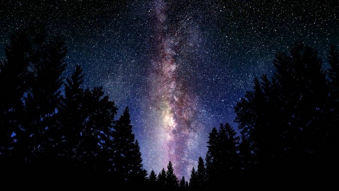 Milky Way galaxy over a dark forest at night