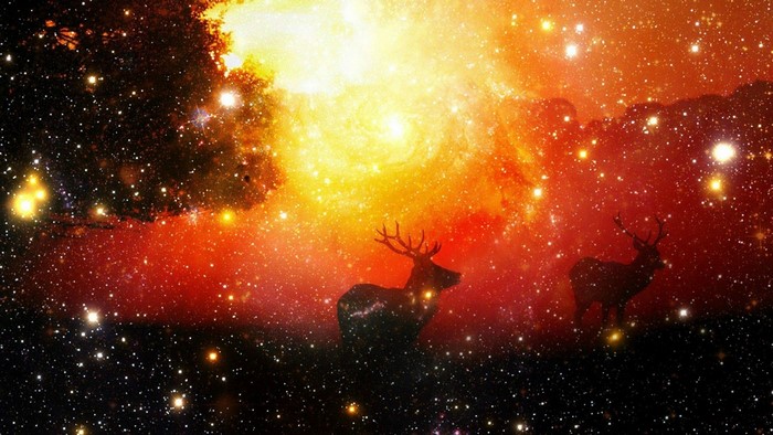 Two deer in a cosmic nebula with stars and galaxies