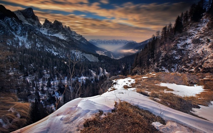 Snowy mountain valley with pine forest and cloudy sky