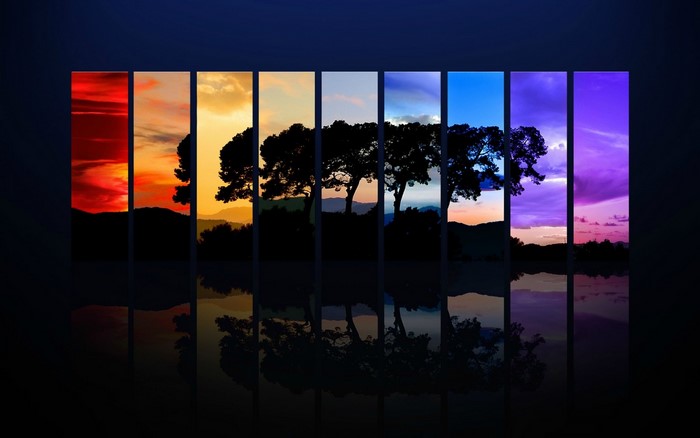 Collage of trees and sunset colors with reflections