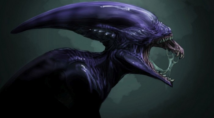 Xenomorph from Prometheus movie illustration