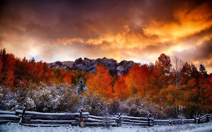 Autumn trees and snow with dramatic sunset sky