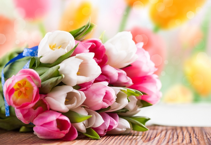 Bouquet of pink and white tulips with blue ribbon