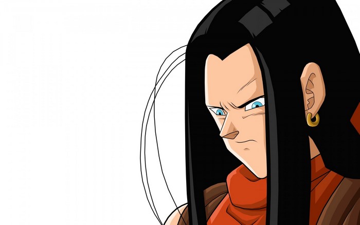 Android 17 from Dragon Ball