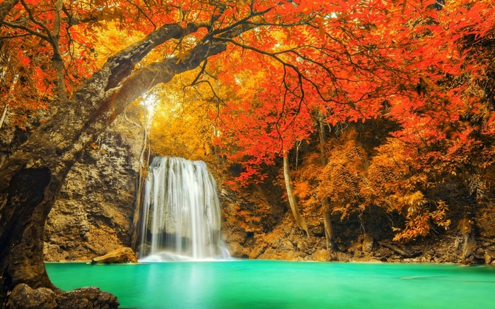 Waterfall in a colorful autumn forest in Thailand