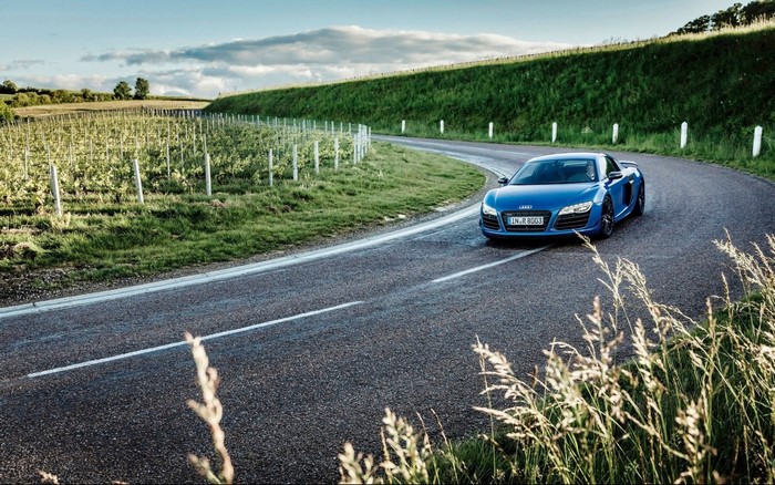 Blue Audi R8 driving on a winding road through a vineyard