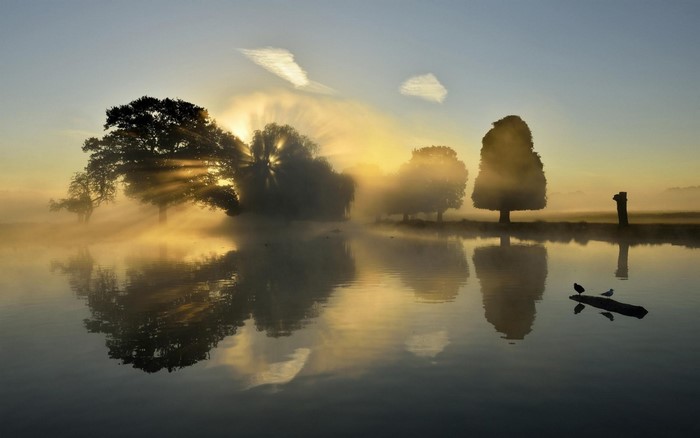 Sunrise over misty lake with trees and sunbeams