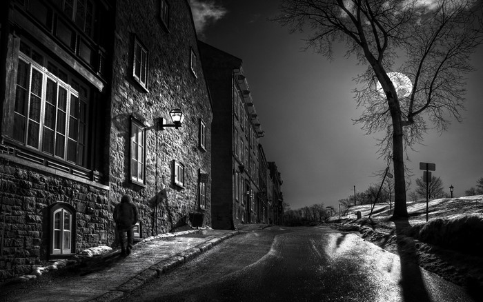 Moonlit Winter Street in Black and White