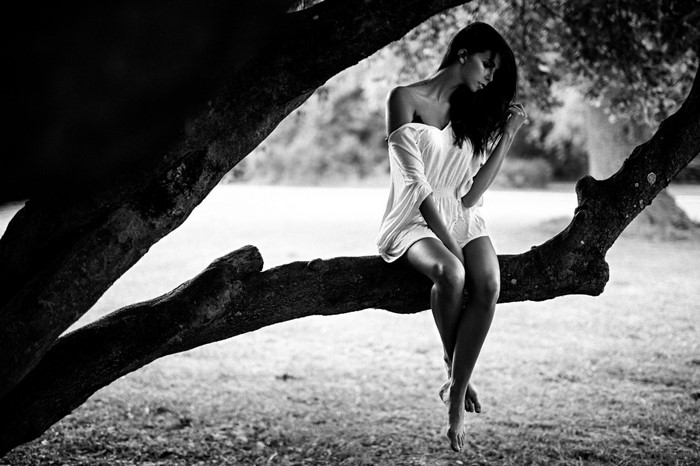 Monochrome Beauty Sitting on a Tree Branch