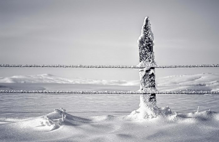 Snow covered fence post in a winter landscape