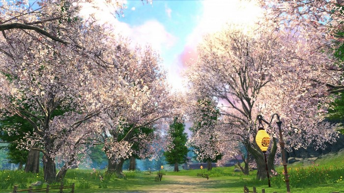 Cherry blossom trees in a park with a lantern