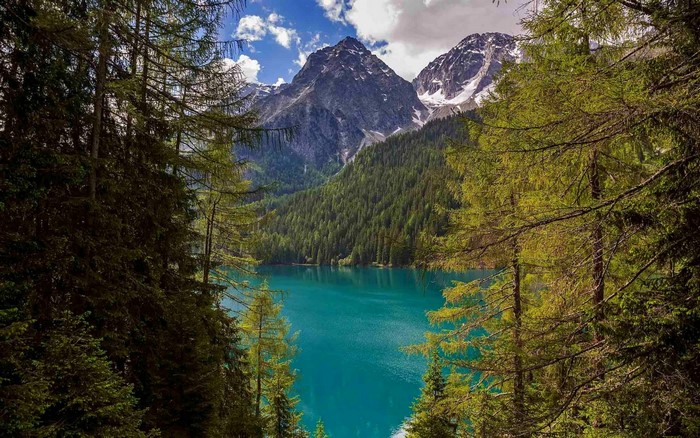 Turquoise lake surrounded by pine forest and mountains