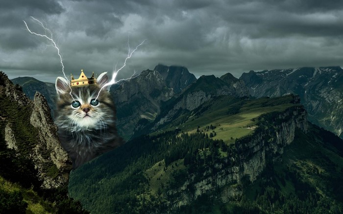 Cat wearing a crown with lightning in mountains