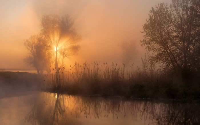 Sunbeams through trees over a misty river at sunrise