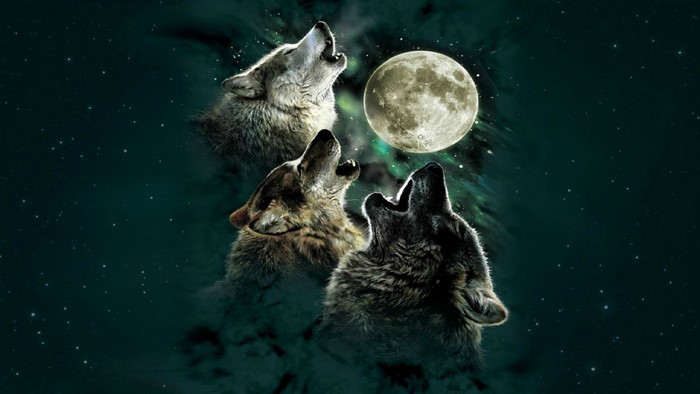 Three wolves howling at the moon in outer space