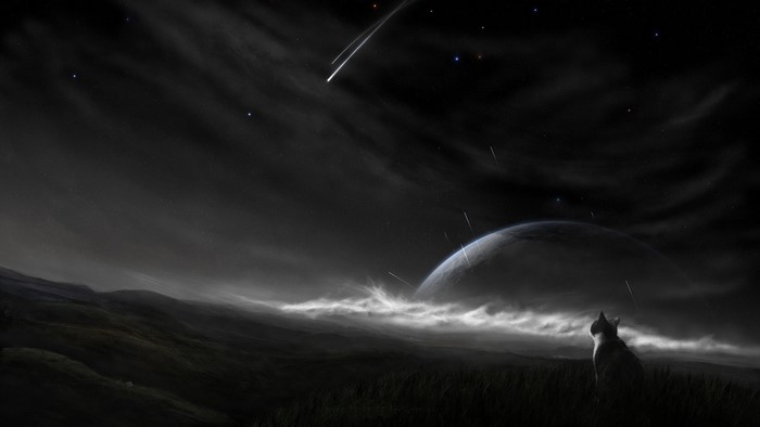 Cat looking at a planet and shooting stars