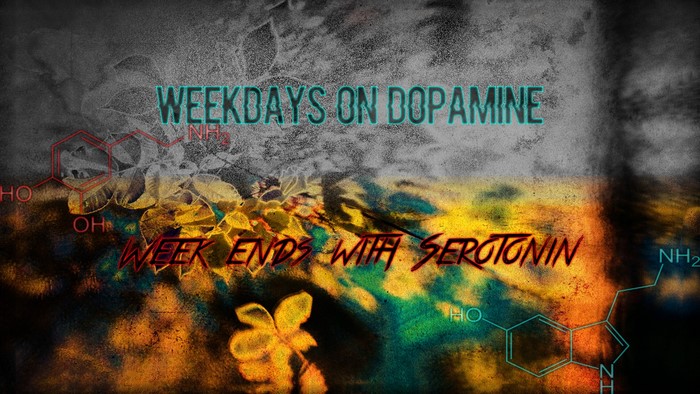 Weekdays on Dopamine, Weekends with Serotonin