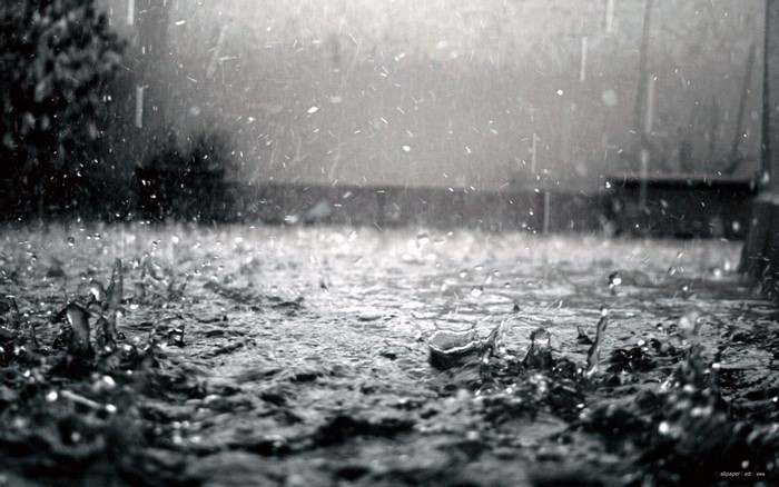 Monochrome Rain and Snow Mixed Scene