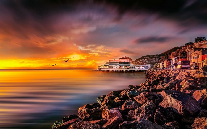 Sunset over California Coast with Birds and Rocky Shore