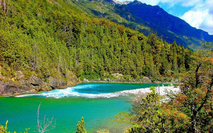 Scenic River Valley in Chile National Park