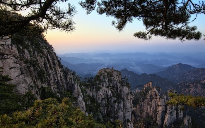 Misty mountain landscape with pine trees at sunset