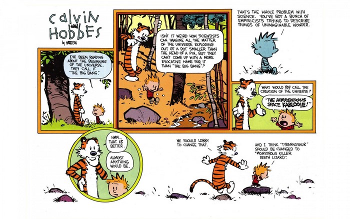 Calvin and Hobbes comic strip about the universe