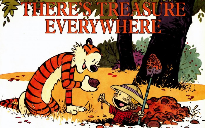 Calvin and Hobbes comic illustration with text