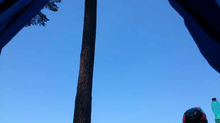 Blue sky with a tree and a helmet