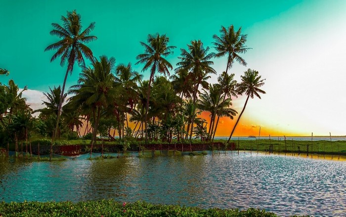 Tropical Sunset Over Serene Lagoon with Palm Trees