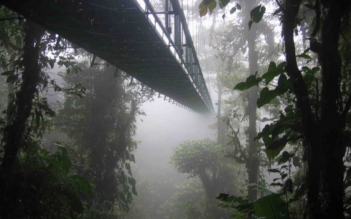 Suspension bridge over a misty rainforest in Costa Rica