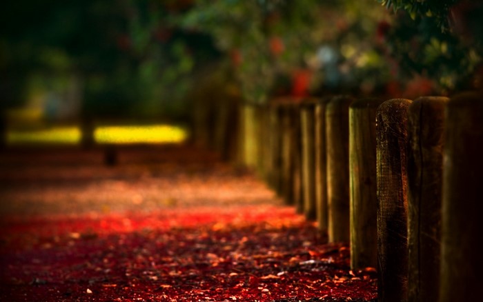 Autumn path with fallen leaves and wooden fence