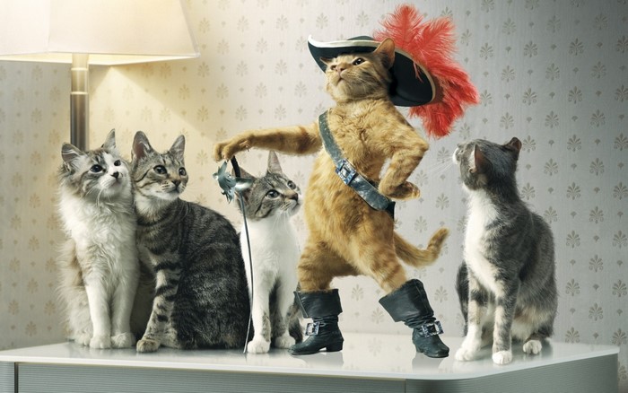 Cats dressed as Puss in Boots and companions