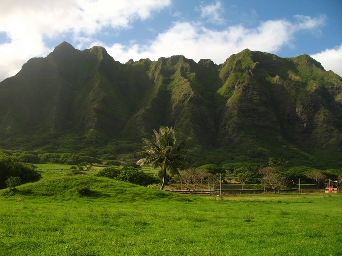 Green mountains and fields in Hawaii