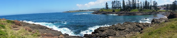 Rocky coastline with blue ocean and trees