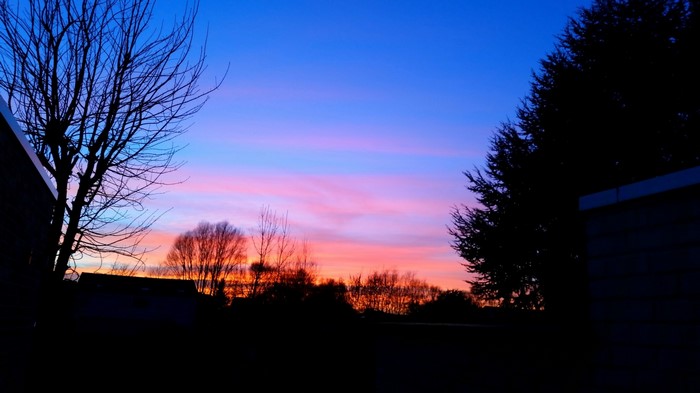 Sunset sky with silhouetted trees and buildings