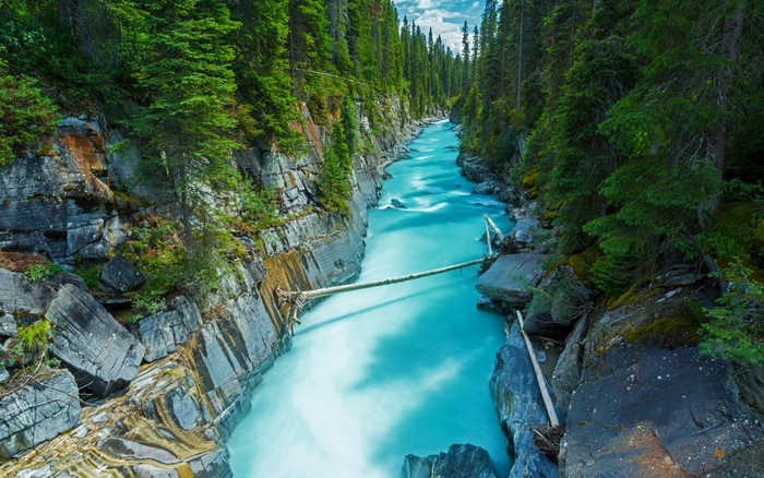 Turquoise river flowing through a rocky canyon with pine trees
