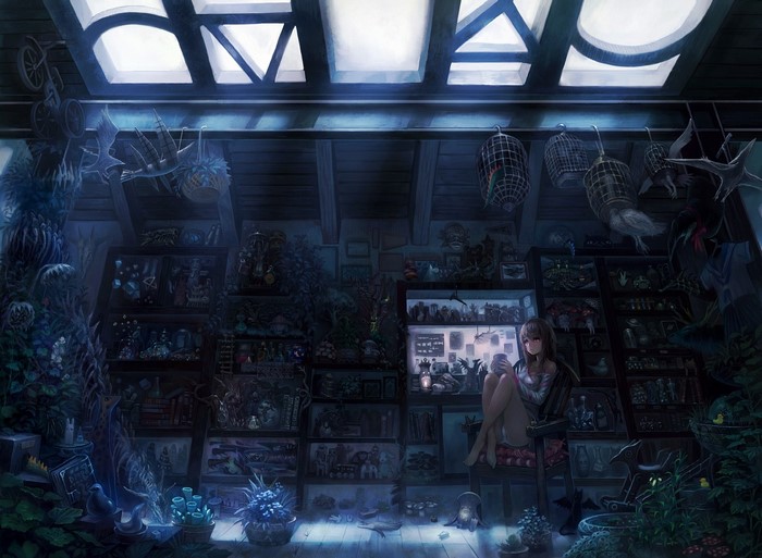 Anime girl in a cluttered room with shelves