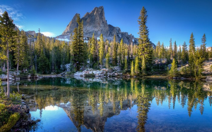 Mountain lake reflection with pine trees and clear blue sky