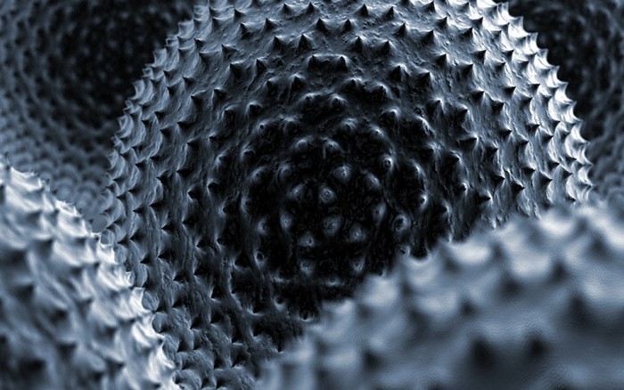 Abstract macro view of spiky surface