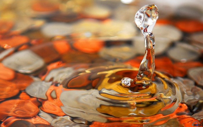 Water drop creating ripples on coins